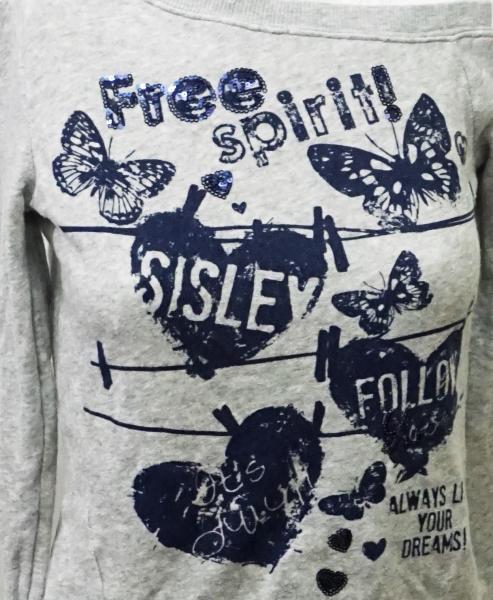 Sweatshirt Gr. 152 (3909)